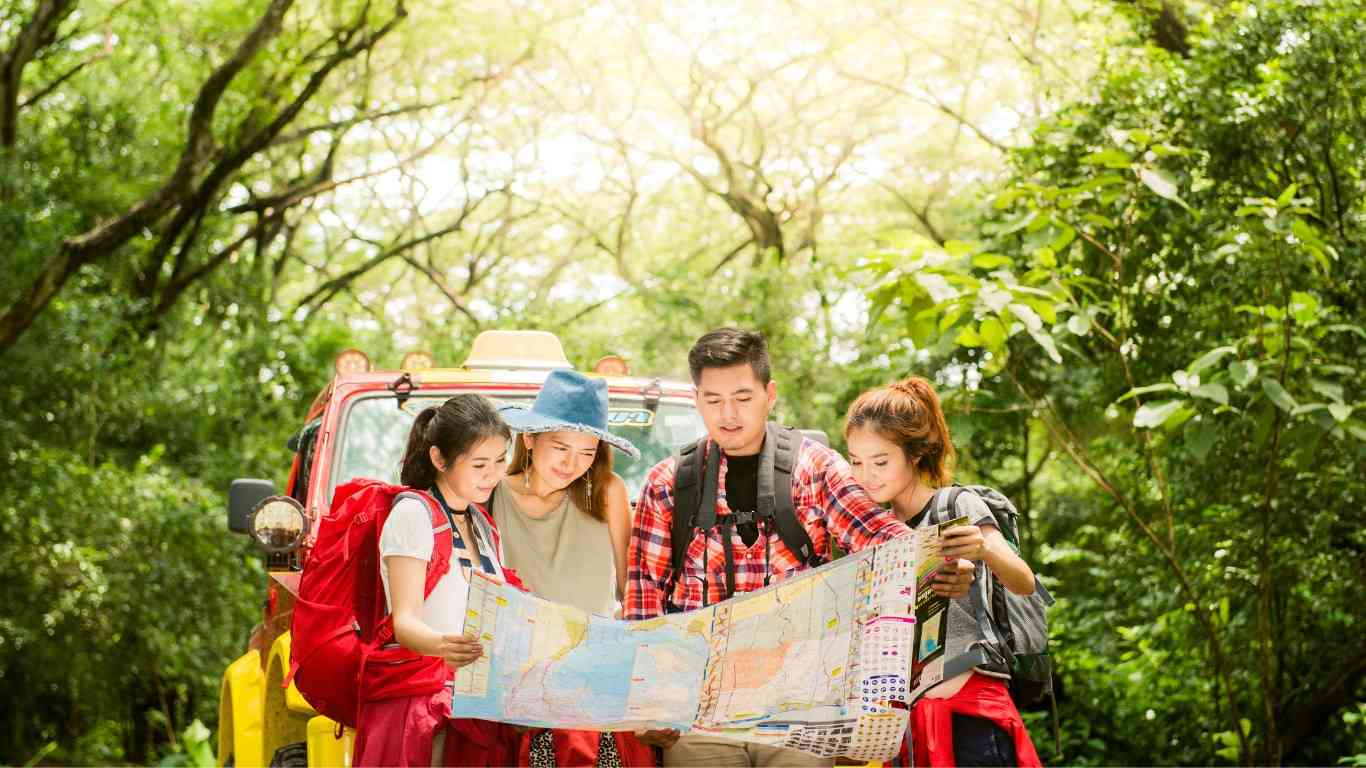 safari and tour packages