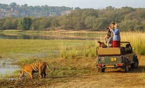 Ranthambore National Park