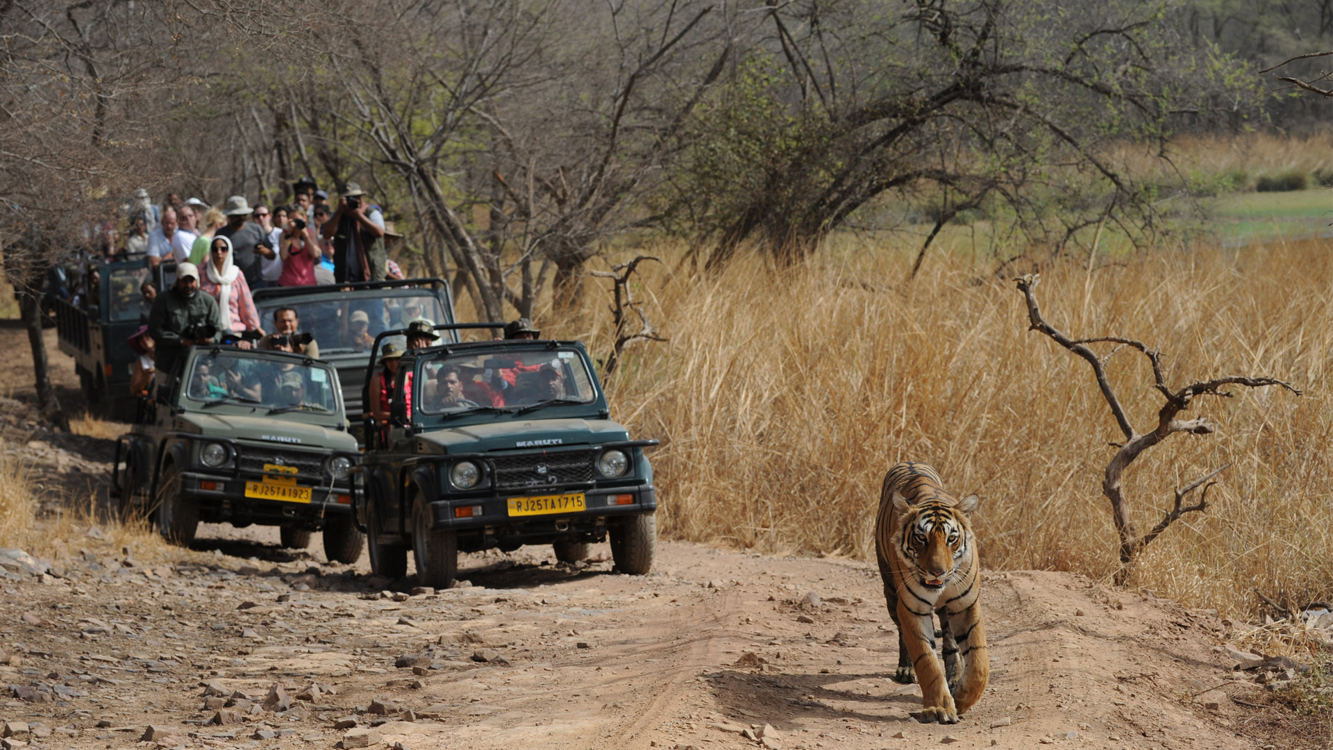 Ranthambore National Park