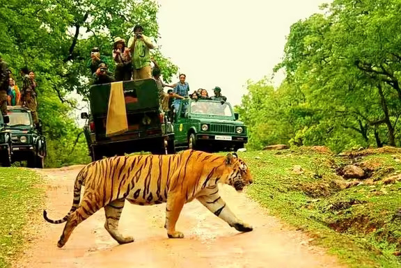 Ranthambore National Park Safari Booking