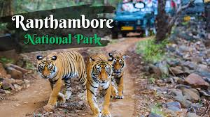 Ranthambore National Park